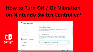How to Turn Off / On Vibration on Nintendo Switch Controller?