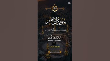 قرآن كريم بصوت جميل #ارح_قلبك #قران_كريم #تحرير_فلسطين#تحرير_القدس #صوت_جميل#ترند #هاشتاق #ب_لبن