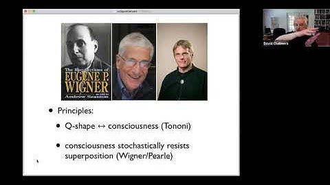 David Chalmers, Kelvin McQueen - "Consciousness and the Collapse of the Wave Function"