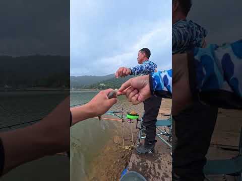 Hồ tự nhiên Hoa Sơn - Sóc Sơn, Hà Nội