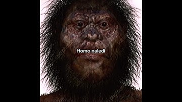 The mysterious extinct human species, Homo naledi #earlyhumans #evolution #prehistoric