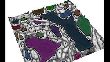 Learned Watershed Algorithm