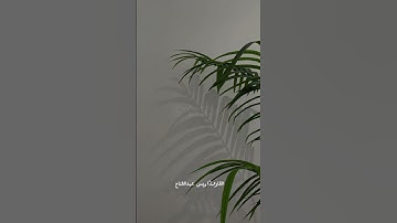القارئ:اويس عبدالفتاح