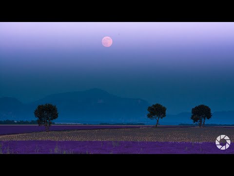 Full Moon : You Keep Shooting with Bryan Peterson