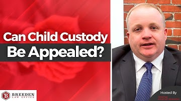 Can Child Custody Be Appealed? | Winning Child Custody