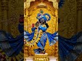 Ras Bhina Ray Ranchhod_Mangala Aarti Dhwarkadhish. #radheshyam