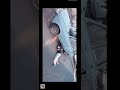 مهرجان شيمااء ترند انشاء الله