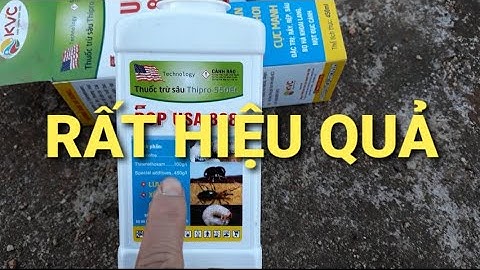 Thuốc trị Rệp sáp, Mọt đục cành cà phê. MV Nhân Trí.