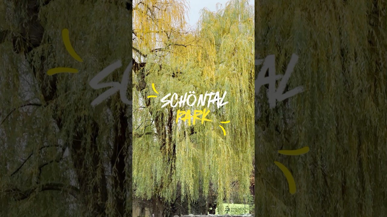 A beautiful park in Germany Schöntal Park 