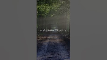 اكتب شيء تؤجر عليه | سورة الإسراء الآية 58 القارئ ماهر المعيقلي
