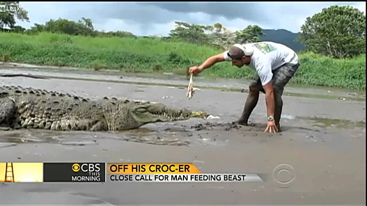 Close call for tour guide teasing crocodile