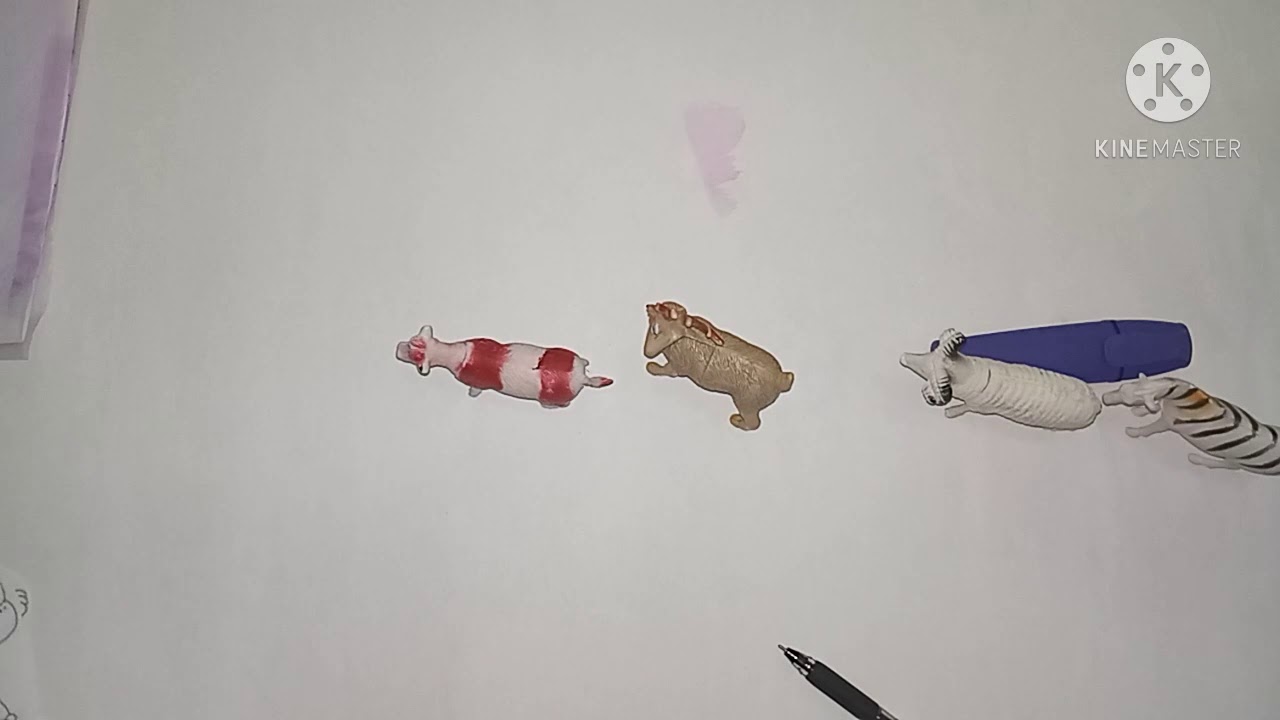 رياضيات 11. العدد الرتبي الأول والأخير(1). قسم التحضيري. classe préparatoire