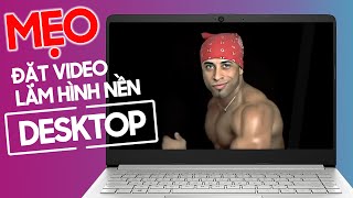 Hình Nền Động Miễn Phí Cực Dễ | Trick&Tips screenshot 5