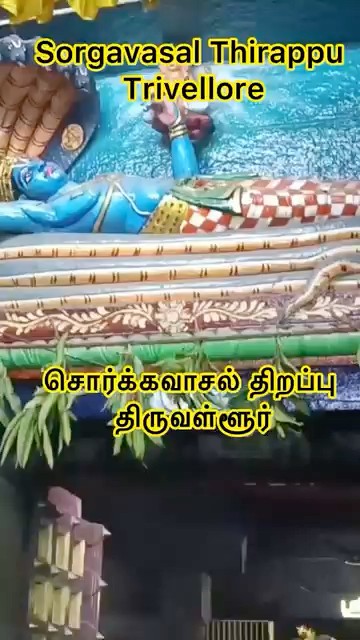 சொர்க்கவாசல் திறப்பு | திருவள்ளூர்#Sorgavasal Thirappu | Vaikunta Ekadasi | Trivellore#viralvideo