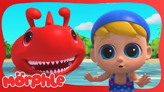 who is mystery beach shark mila morphle cartoons kids