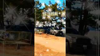 #임그리워 #나훈아 🌺 #전통가요  #옛날노래  #트롯트인기가요  #shorts