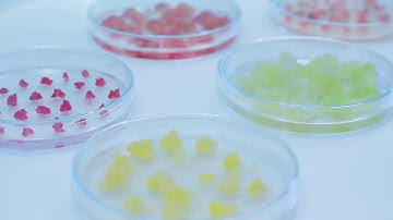 #AnnualFoodAgenda_Cellular Agriculture_FI