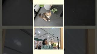 Sony DSC W570 sample image 1 / Asia