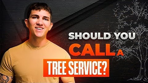 7 THINGS TO CONSIDER BEFORE HIRING A TREE SERVICE (Homeowner Edition)