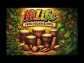 Hi life percussion Loops100bpm#hilife #hilifemusic #afrobeats #percussionloop #drumloops 