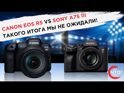 فيديو: Canon Vs Sony: ما هي الكاميرا الأفضل؟