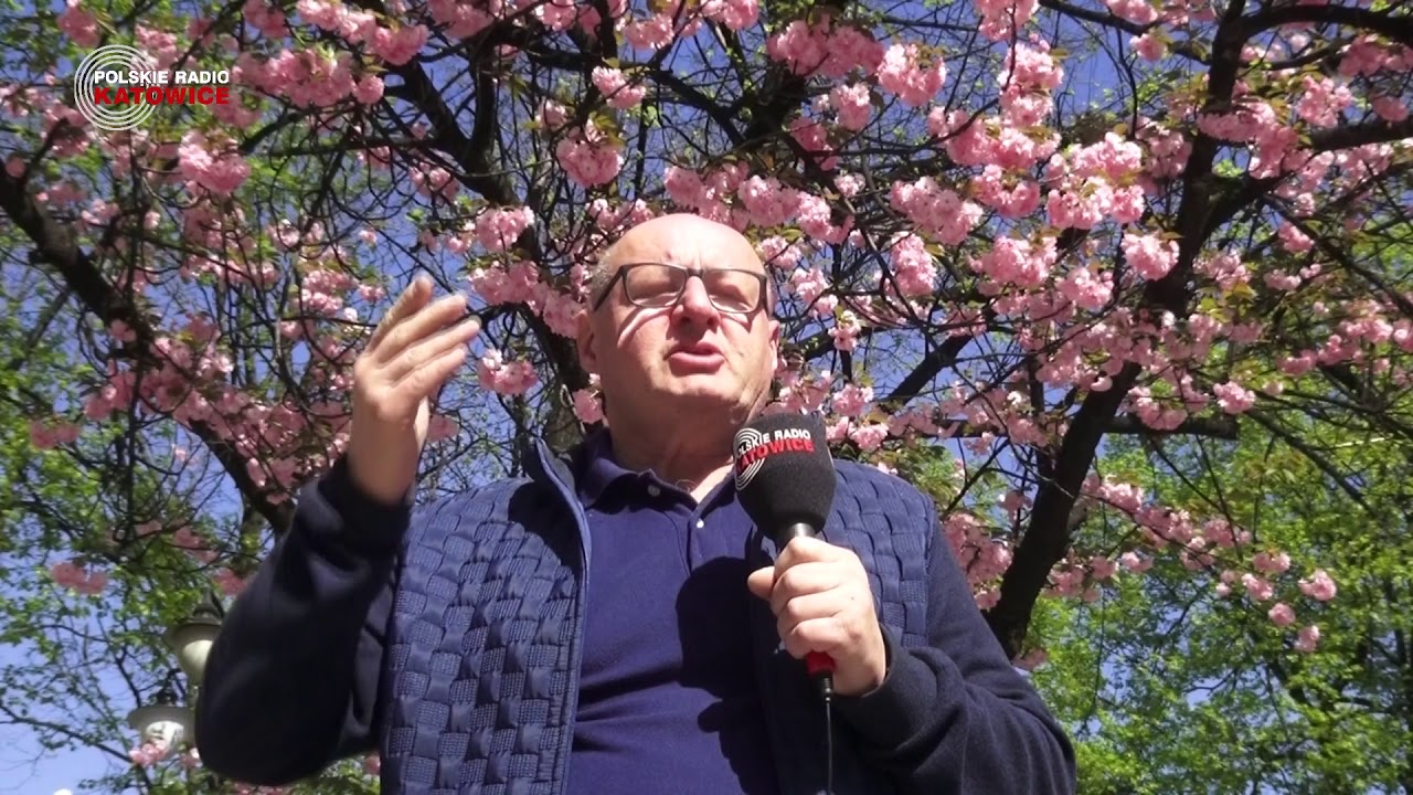 Trójwymiarowa Prognoza Pogody na weekend 20-22.04.2018 katowice 2015 stickers