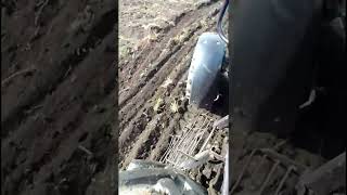 Культивация огорода под посев люцерны на МТЗ-892 Беларус.