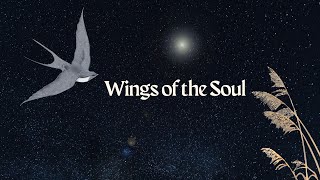 Download Lagu Wings of the Soul: A Love Duet from The Happy Prince #musicaltheatre Download Lagu Wings of the Soul: A Love Duet from The Happy Prince #musicaltheatre