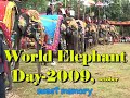 WORLD ELEPHANT DAY-2009 IN SAKREBYLU