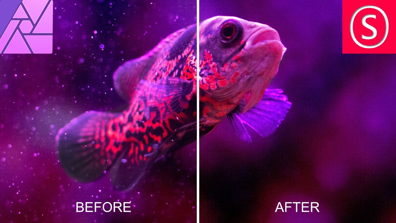 Remove Dust & Specks – Affinity Photo Tutorial Remove Dust & Specks – Affinity Photo Tutorial