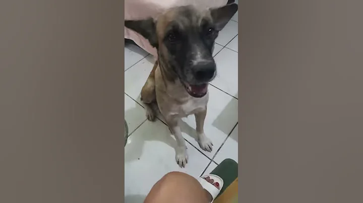 Scratch my head, please!