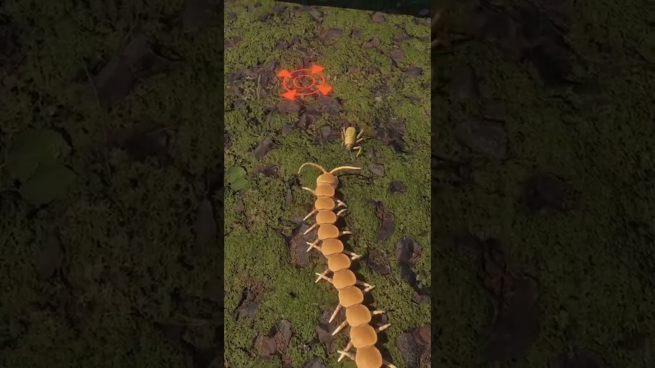 Birds! Just added a new predator to my Centipede Simulator