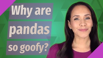 Why are pandas so goofy?