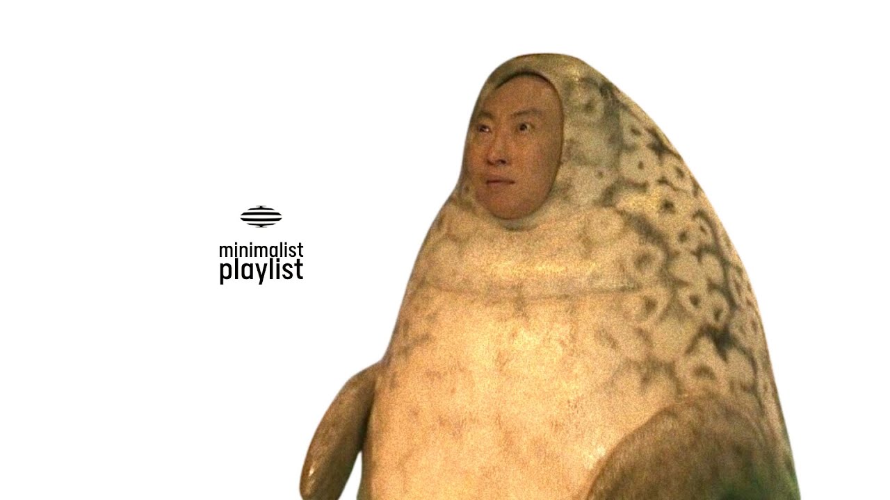 어리둥절한 인생이다 | playlist