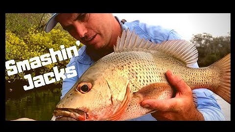How to catch Mangrove Jacks - Fishing in Creeks - Skip Casting