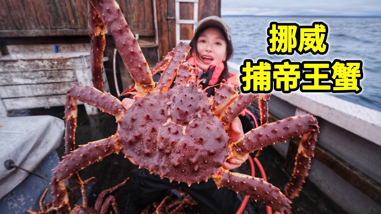 挪威捕帝王蟹，装满一整艘捕捞船！海水煮蟹鲜甜！| 帝王蟹 | 捕捞 | 挪威 | 海鲜 | 赶海 |