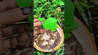 l am your gummy bear ππ±πππ₯πππ€―π¨ #cutebaby #foryou #shorts #funny #fyp #yutubeshorts l am your gummy bear ππ±πππ₯πππ€―π¨ #cutebaby #foryou #shorts #funny #fyp #yutubeshorts