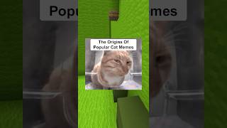 The Origins Of Popular Cat Memes