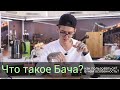 Что такое Бача и как ей пользоваться?