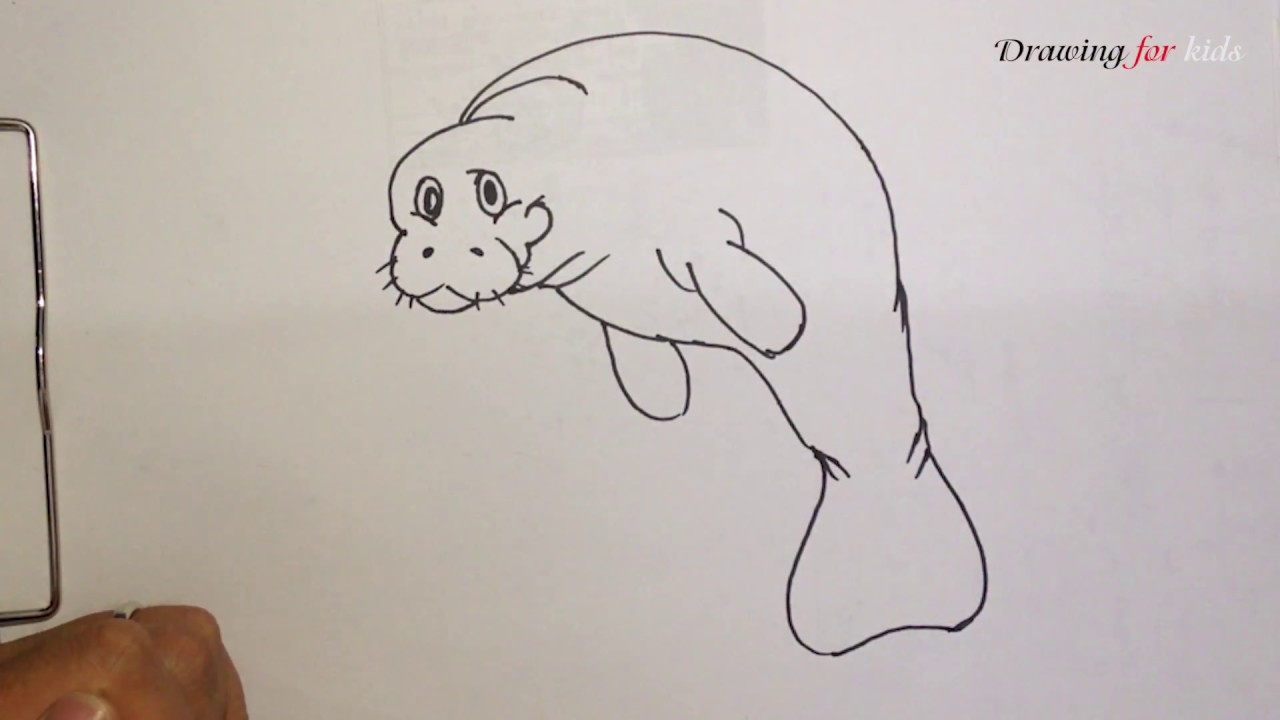 20+ Inspiration Manatee Drawing Easy Step By Step | Barnes Family