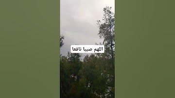 #تلاوة_خاشعة #علي_جابر #اكسبلور #قرآن #islamicvideo #islamicstatus #reels #لايك