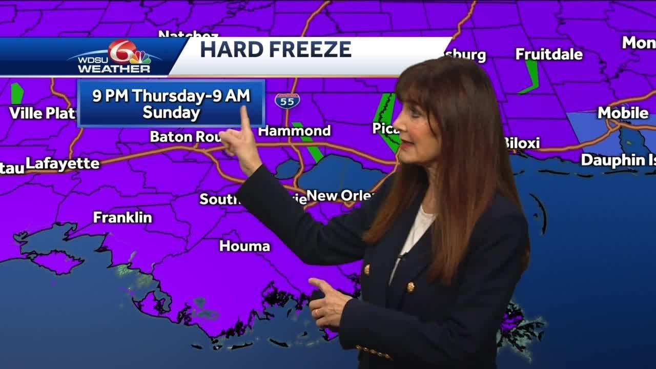 Hard freeze warning - YouTube