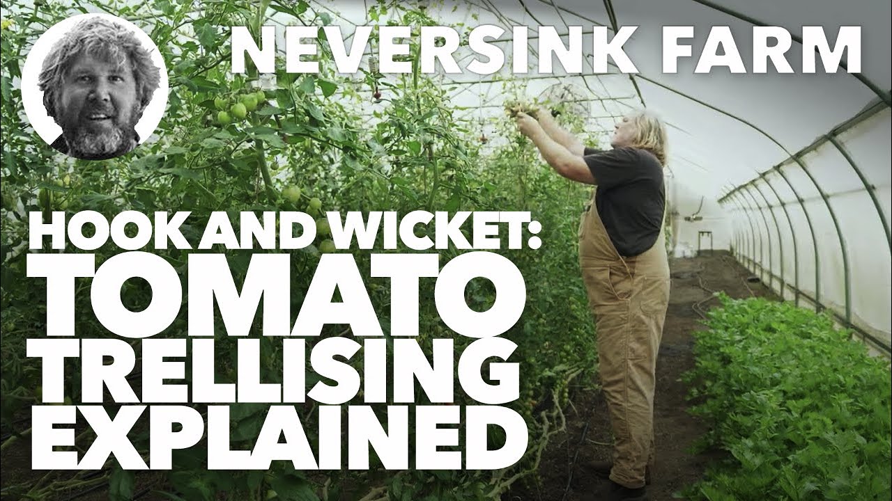 Hook and Wicket Tomato Trellising Explained