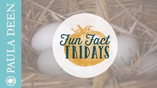How to find the best eggs - Fun Fact Friday