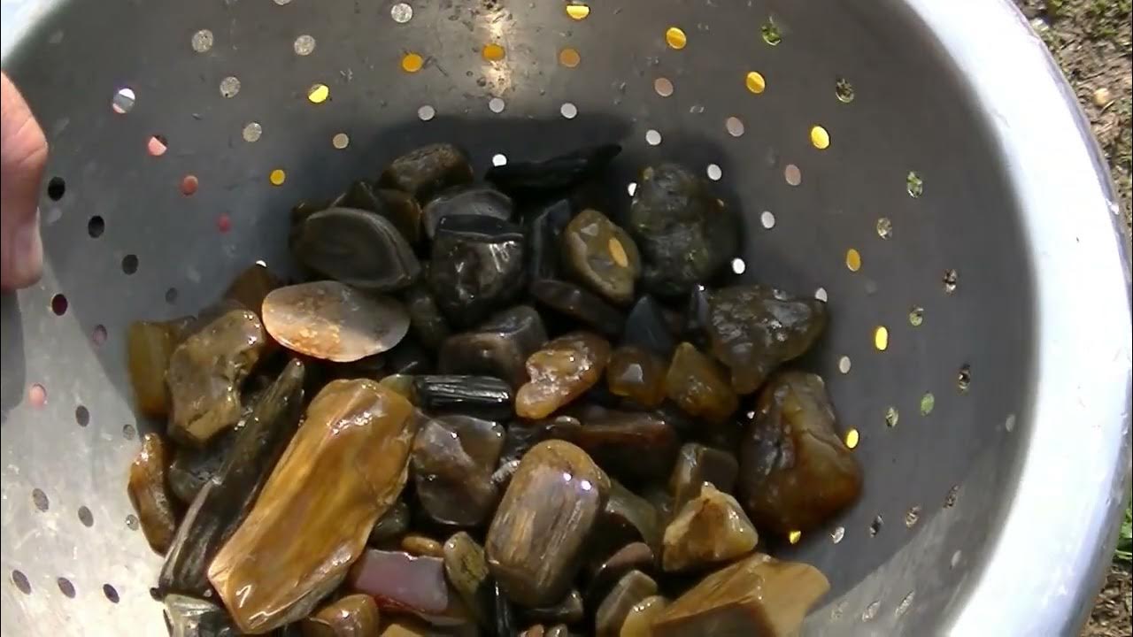 Petrified Wood & Agate Polishing YouTube