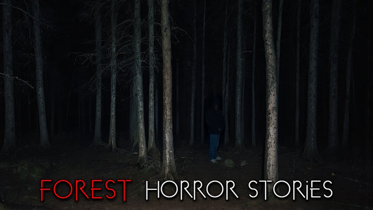 3 Creepy True Wilderness Horror Stories