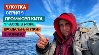 Чукотка - Серия 9. Промысел кита. 9 часов в море. Прощальный ужин в Лорино.