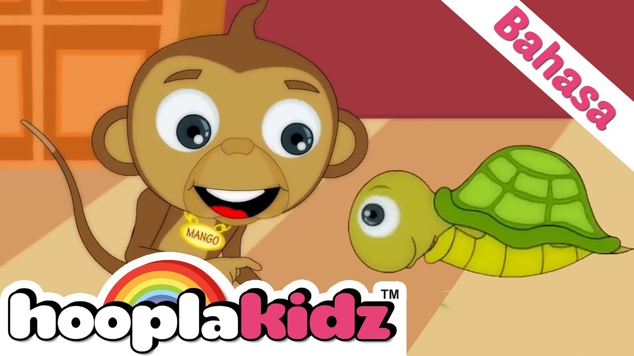 ⁣Lagu Anak Anak HooplaKidz | Mangga Dan Kura-Kura | Kartun Lucu | HooplaKidz Bahasa