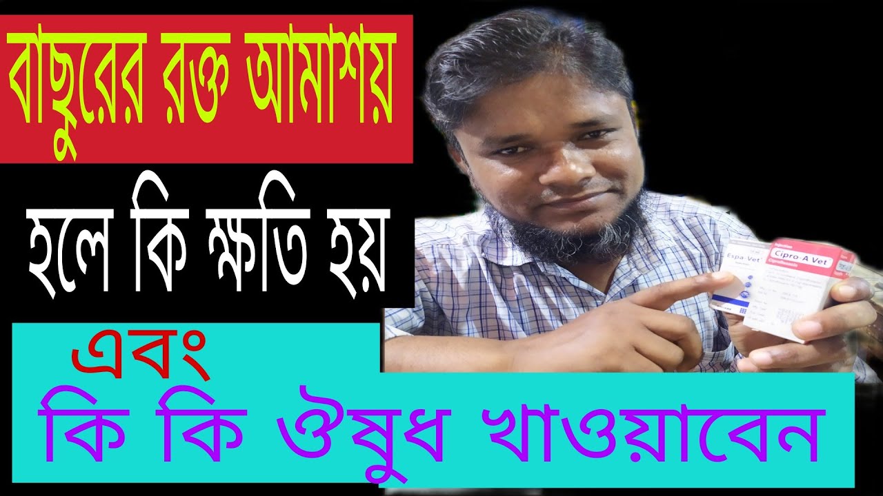 বাছুরের রক্ত আমাশয় হলে কি ক্ষতি হয় এবং কি কি ঔষুধ খাওয়াবেন।