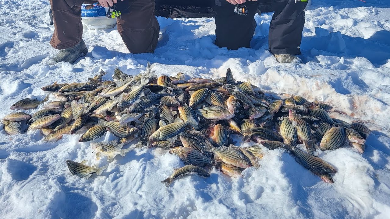 quick ice and fishing report for Emmetsburg iowa 5 Island lake before